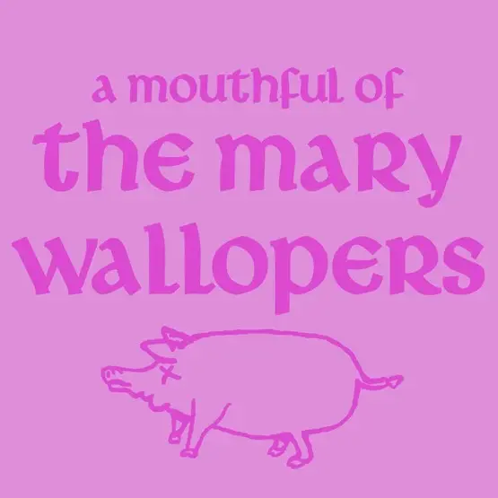 The Mary Wallopers - A Mouthful of The Mary Wallopers (Black 10" RSD2026)