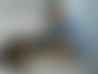 Vet Clinic Hygiene: Best Disinfectants for a Safe Environment