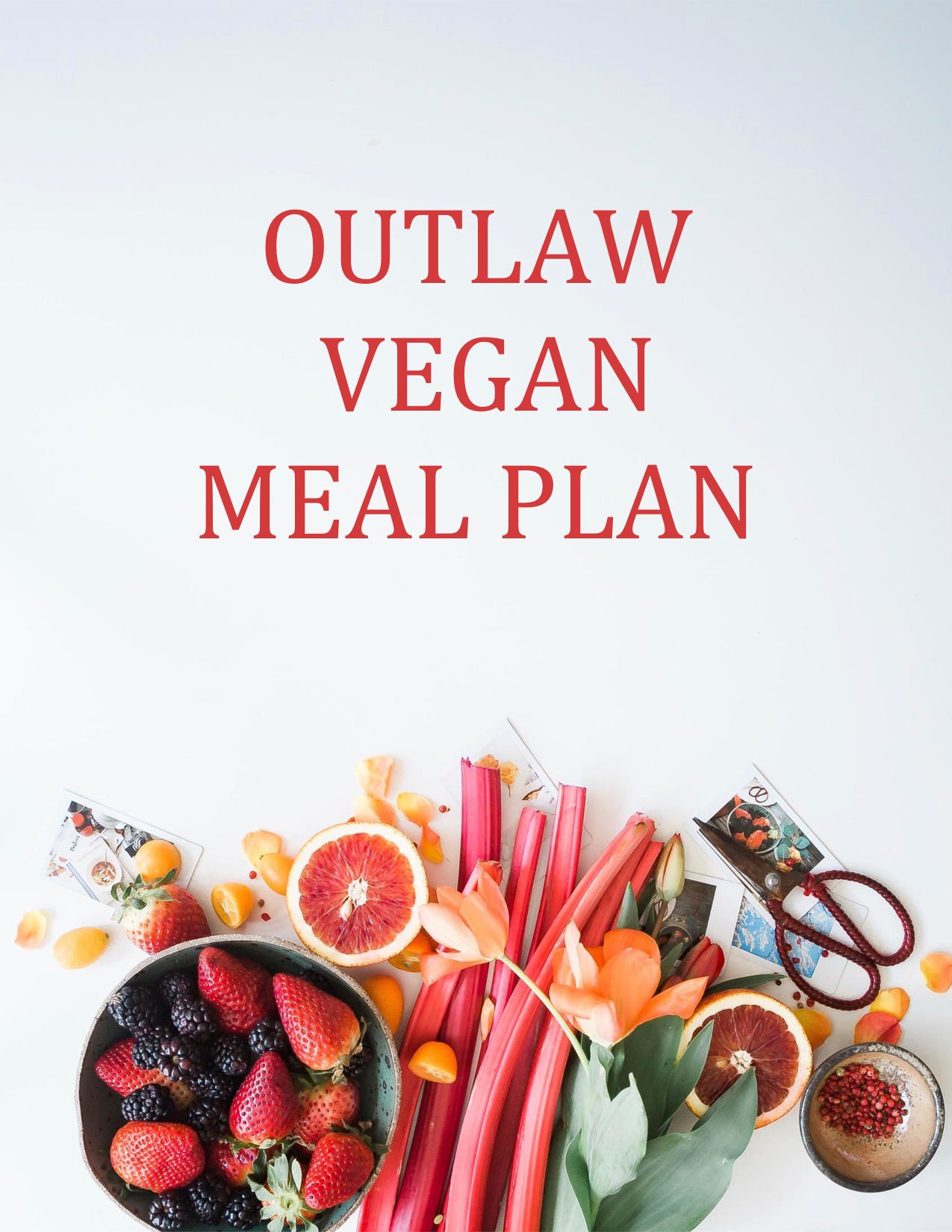 Outlaw Vegan Meal Plan Vol.4