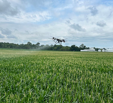 Photo Jul 17 2024, 10 59 58 AM (1).jpg