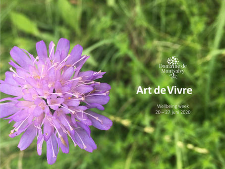 Mindfulness week Art de Vivre 20 - 27 juni 2020