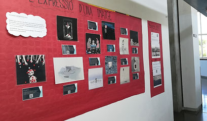 IMG_20191106_151042.jpg