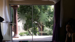 Window Etching