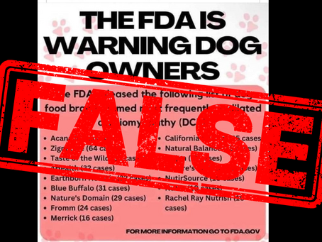 Dreaded DCM and Diet: What's the Deal?