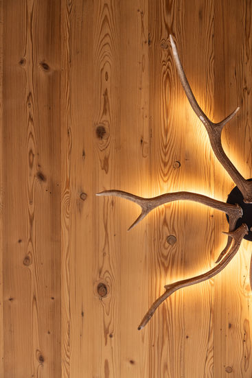 lampadario Aranea acceso con luce calda indiretta in sauna in legno naturale
