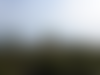 Wandering North of the Lake Biwa - The Tomb of Prince Hikoushi, APR, 2024