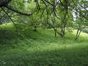Shibayama Tumulus and Jews June 2020