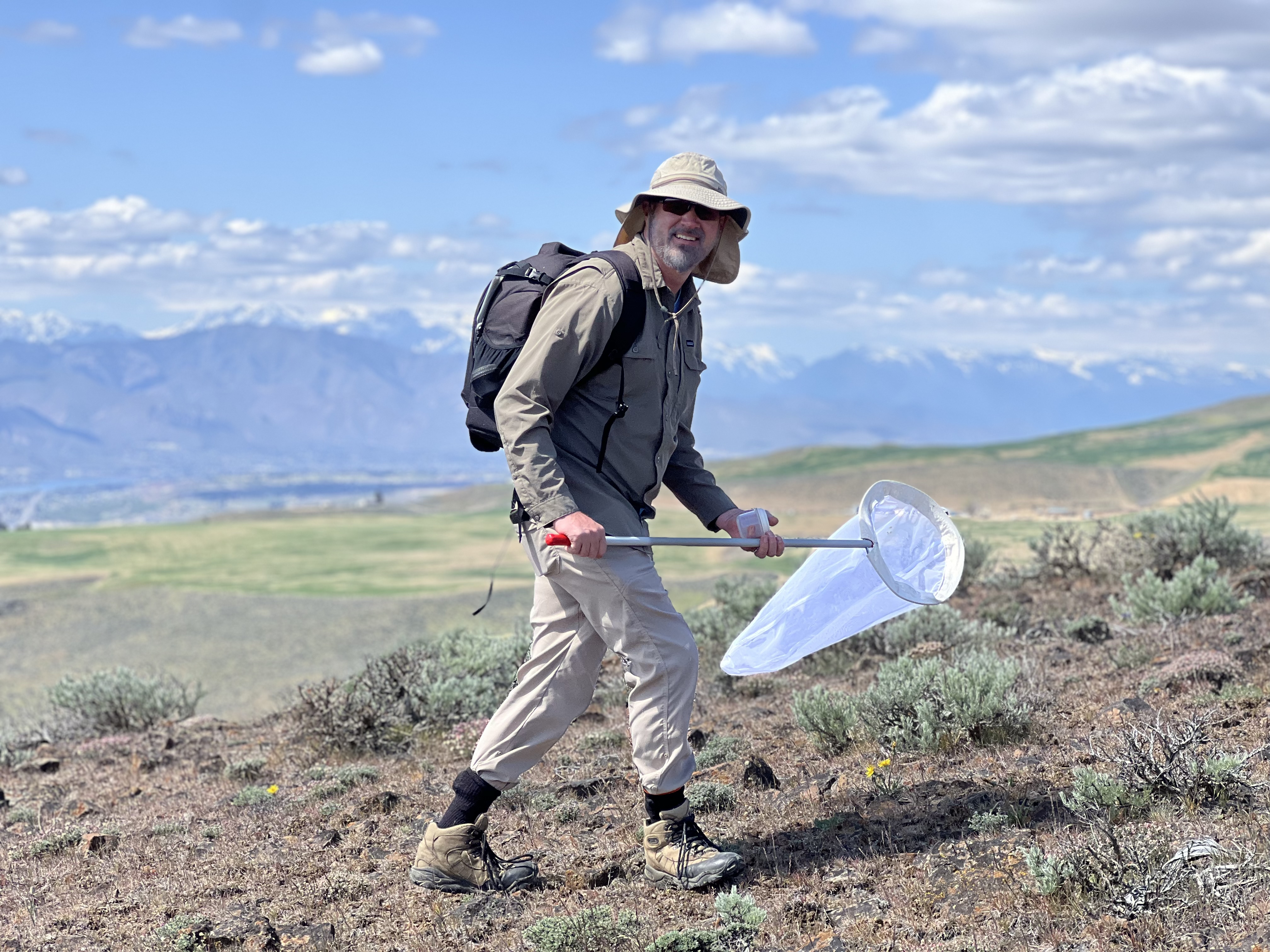 Man walking wit insect net in a desert landscape