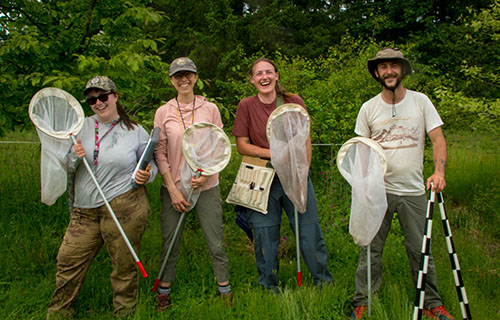 Four people in a natural setting with insect nets