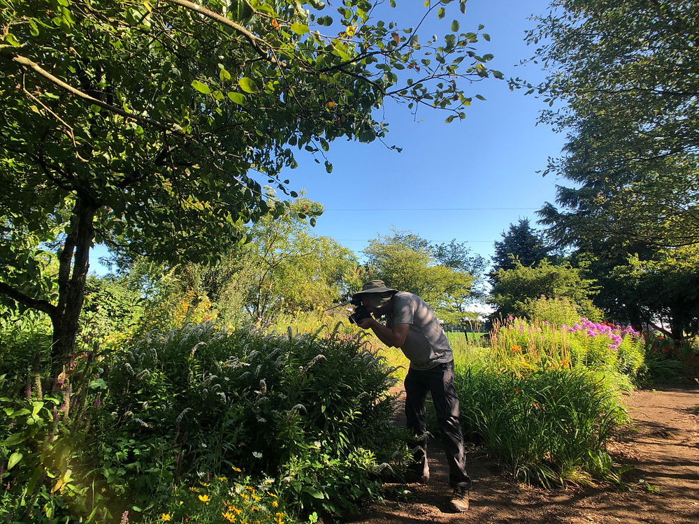 Joe Dlugo photographing bees in NatureScaping Wildlife Botanical Gardens