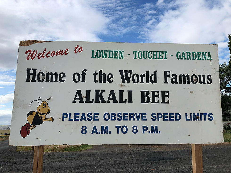 welcomeToAlkaliBees.jpg