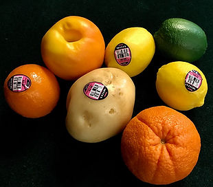 EverlastingFRUITgrouppic.jpg