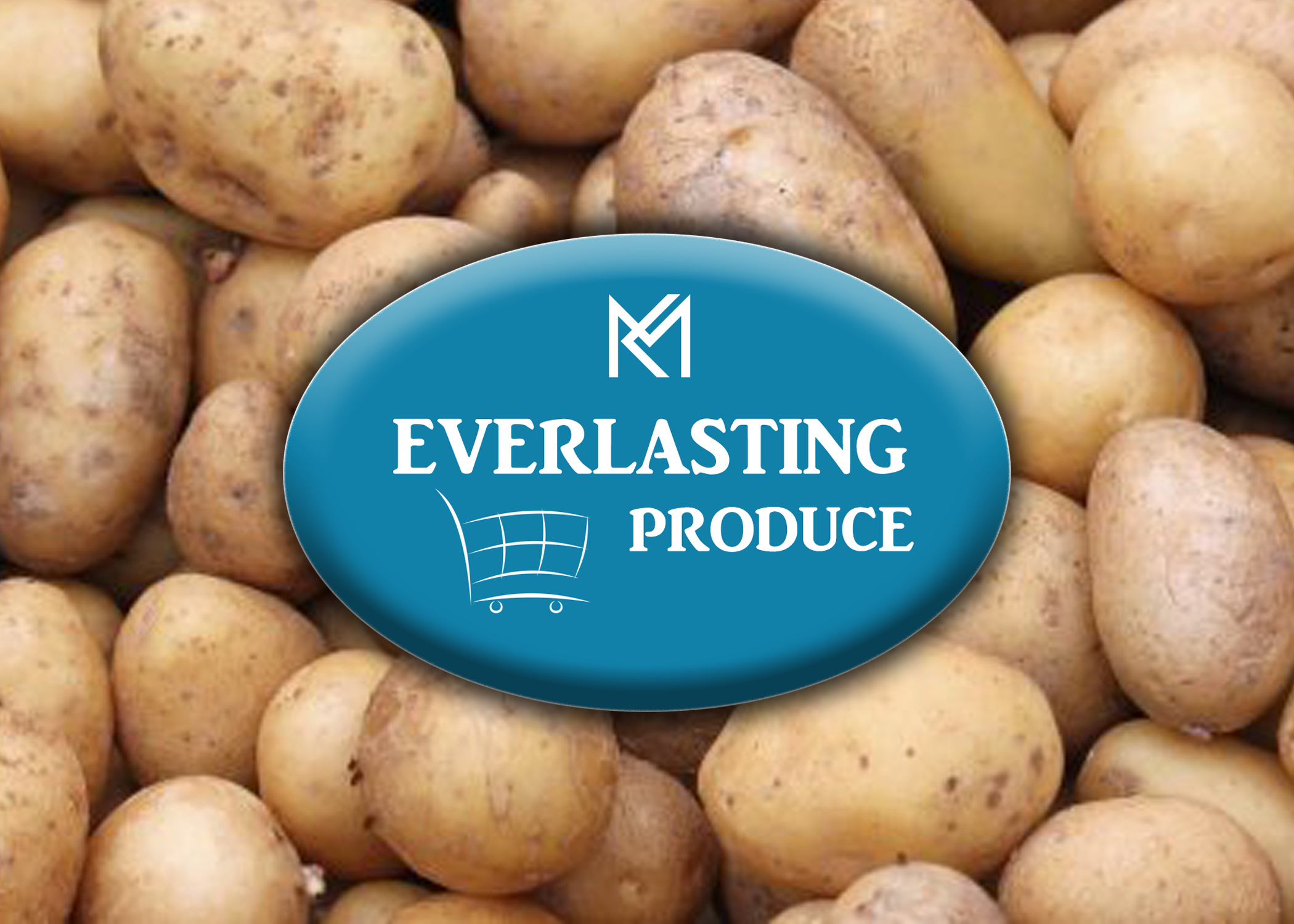 Everlasting Potato (LARGE)