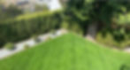 IMG_7851.jpeg