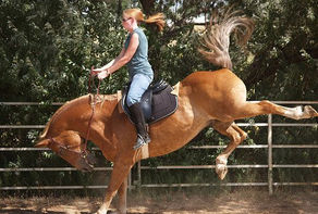 A DIFFERENT KIND OF DANCE: A COWBOY POEM