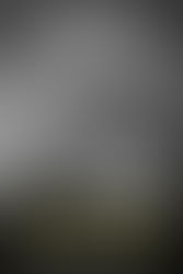 The Tragic Secret Life of Jayne Mansfield