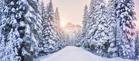 It's the Most Wonderful Time of Year