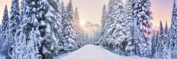 It's the Most Wonderful Time of Year