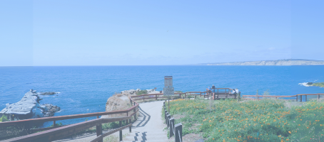 Out of My Comfort Zone, Into My Confidence