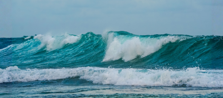 The Subtle Signs of Growth & Healing