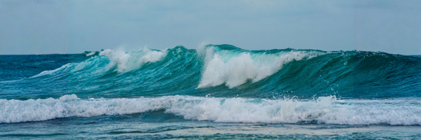 The Subtle Signs of Growth & Healing