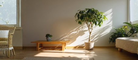 Learning the Art of Gratitude