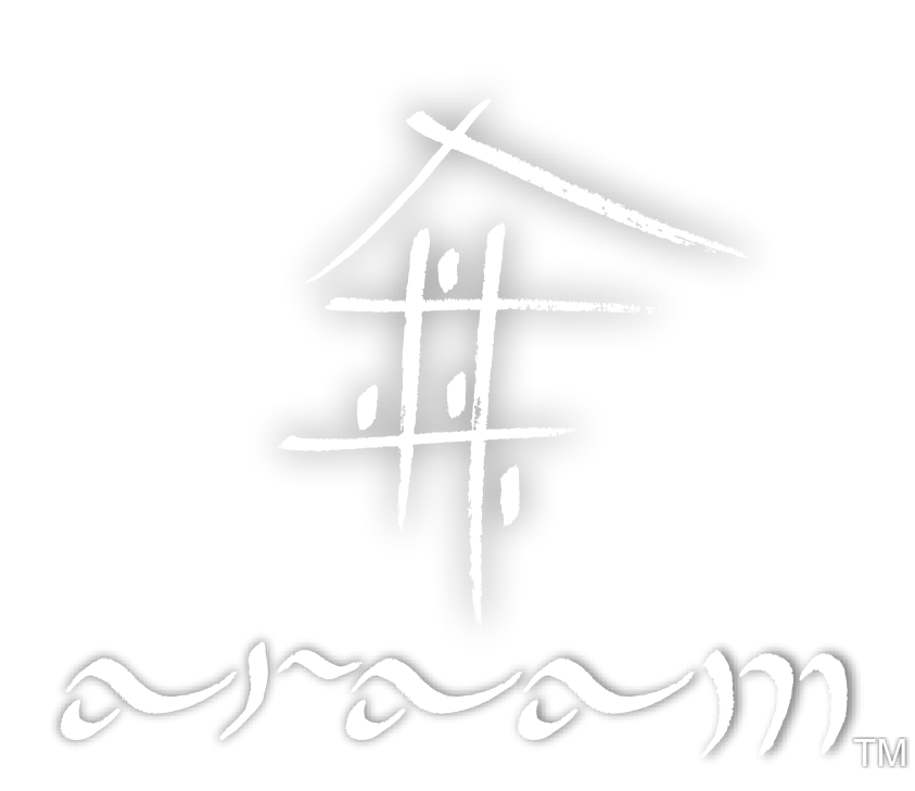 TM LOGO-02_ARAAM-2024_WHITE-nobackground-shadow_edited.png
