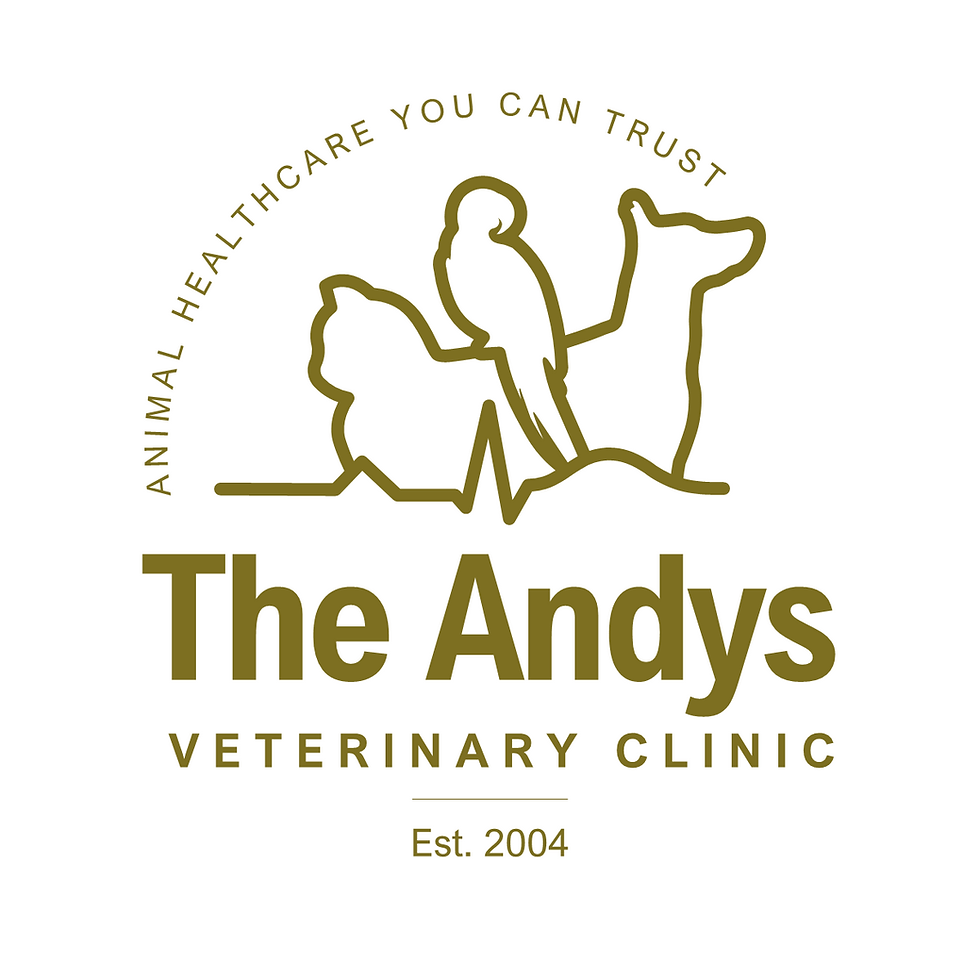 The Andys Logo NEW - PANTONE 385 C_1.png