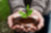 services-6.png