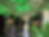 Screenshot at May 23 13-22-40.png