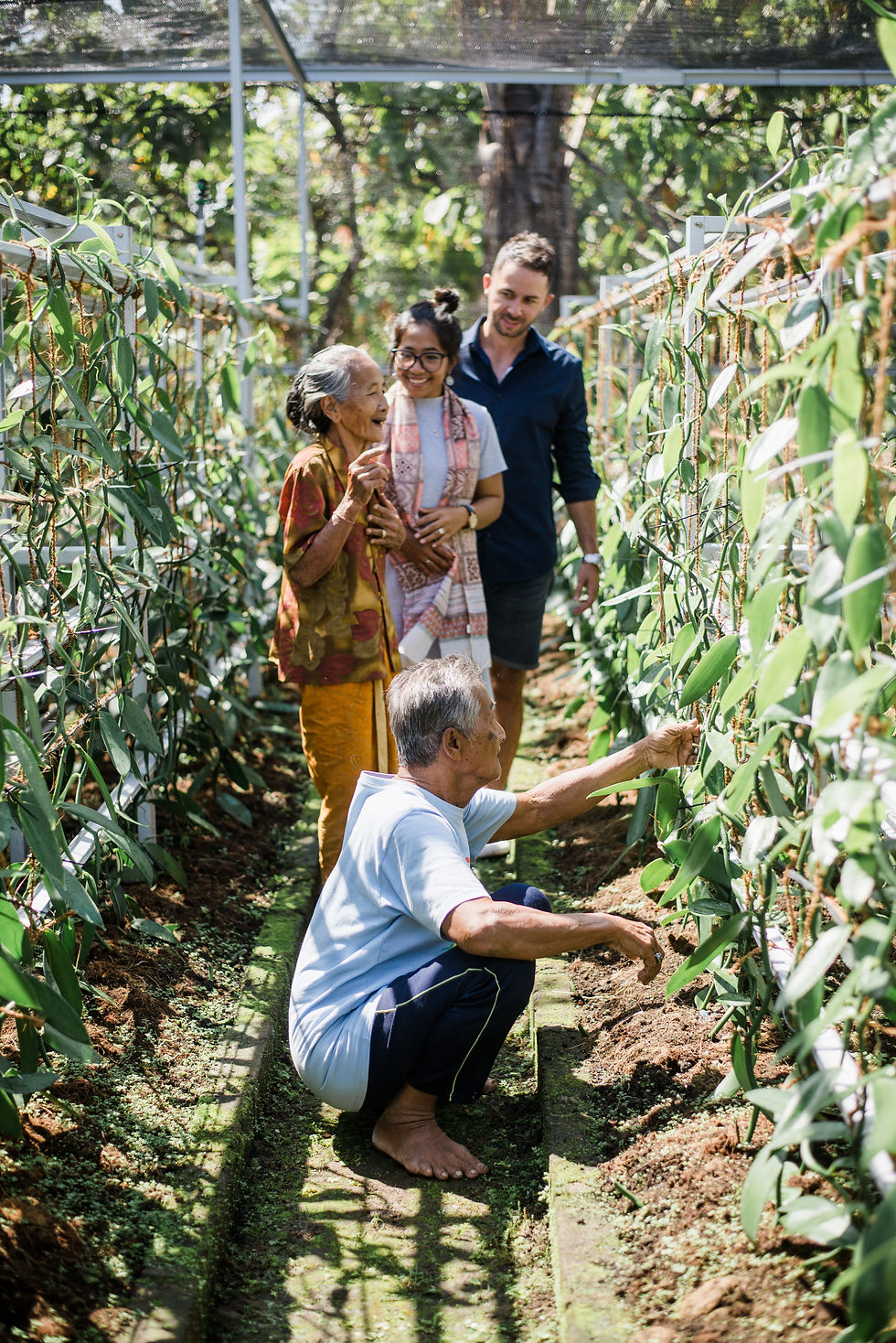 Common Sense Trading; Direct trade Indonesia;Premium vanilla exporter