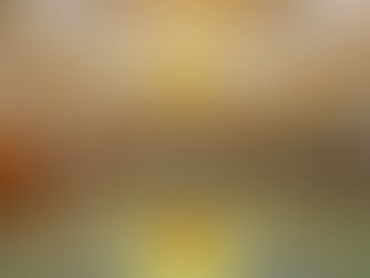 La Piscine de Roubaix : quand un bassin Art déco devient un musée vivant 