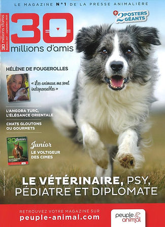 30 MILLIONS D AMIS.jfif