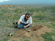 Detecting near Goler Gulch.jpg