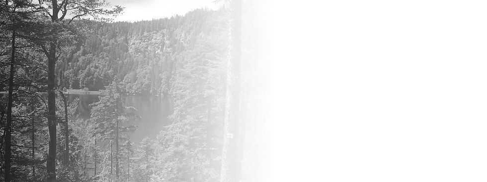 Floresta Negra - (Schwarzwald - Germany).jpg