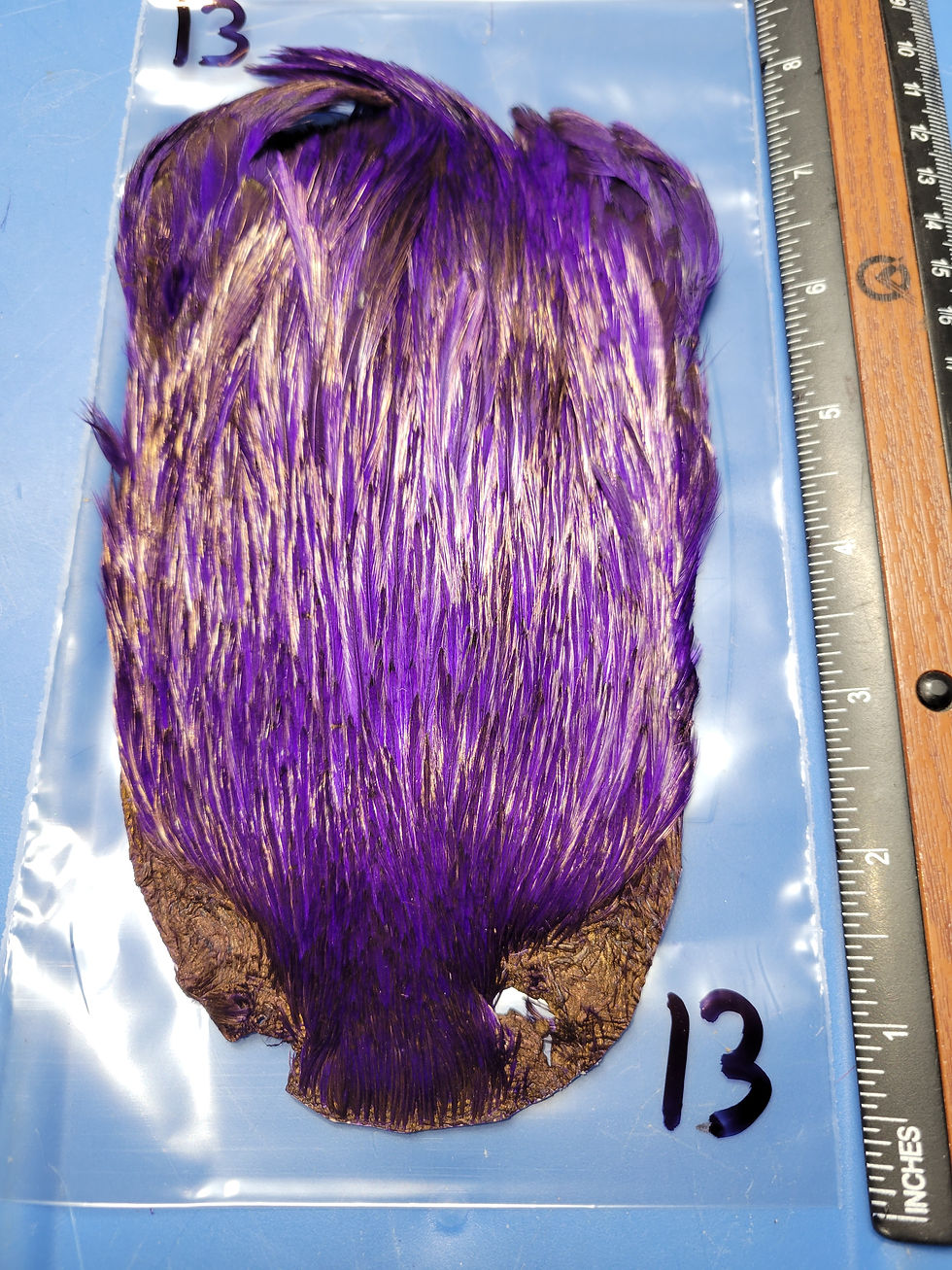 Miniature : Cou- Cape de Coq Super Select AAA Naturel Badger Teint Mauve1-15