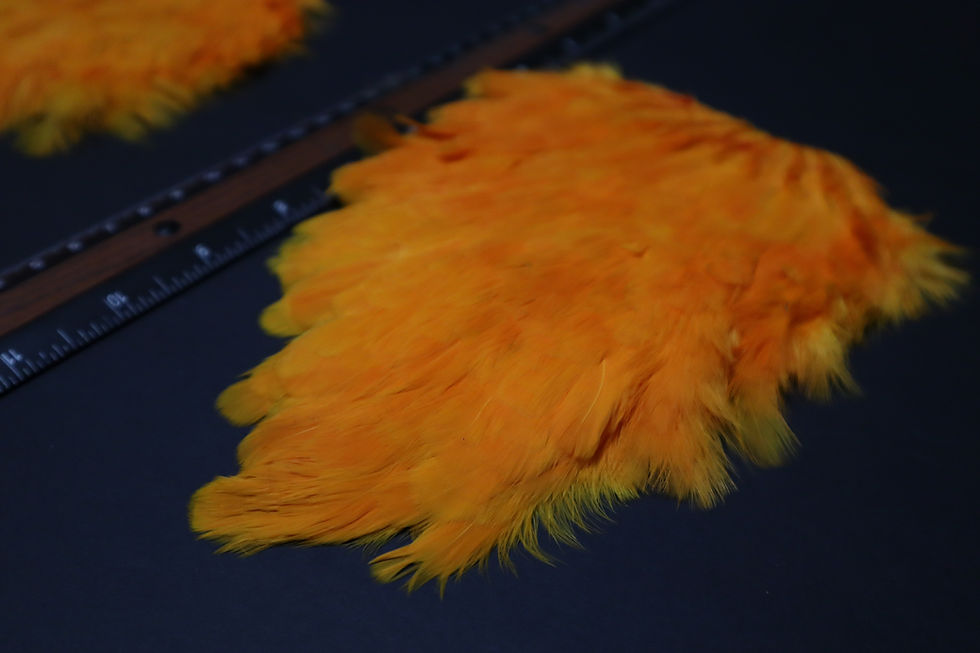 Thumbnail: Our Orange Hen Saddles