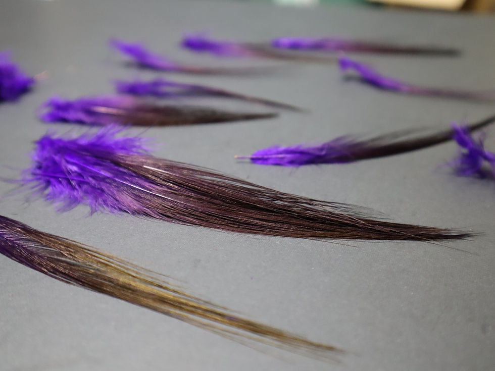 Miniature : Plumes AAA de Héron Teint Mauve Indigo