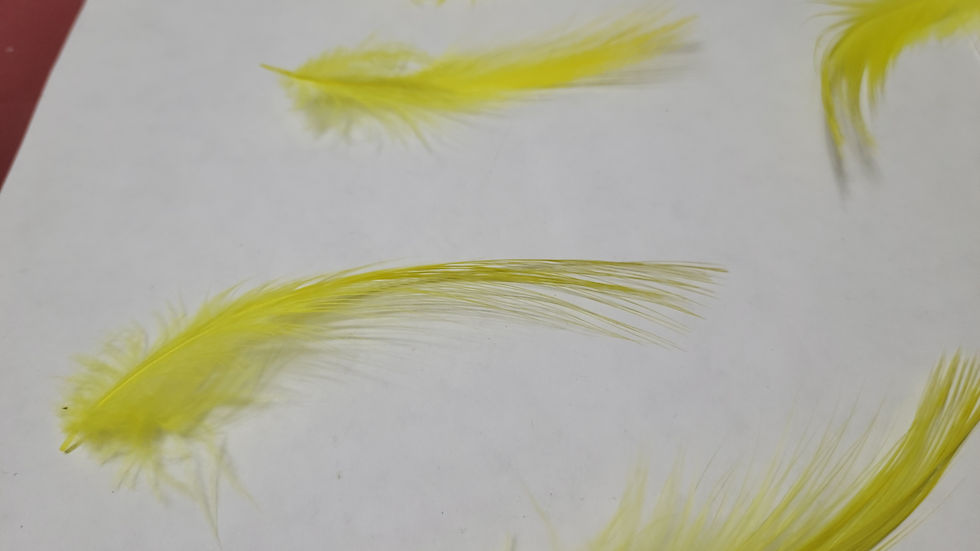 Miniature : Plumes AAA de Héron Jaune
