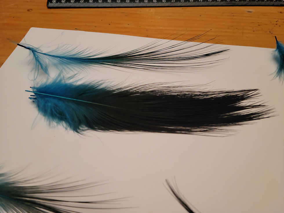 Miniature : Plumes AAA de Héron Brun Naturel Teint Blue Royal