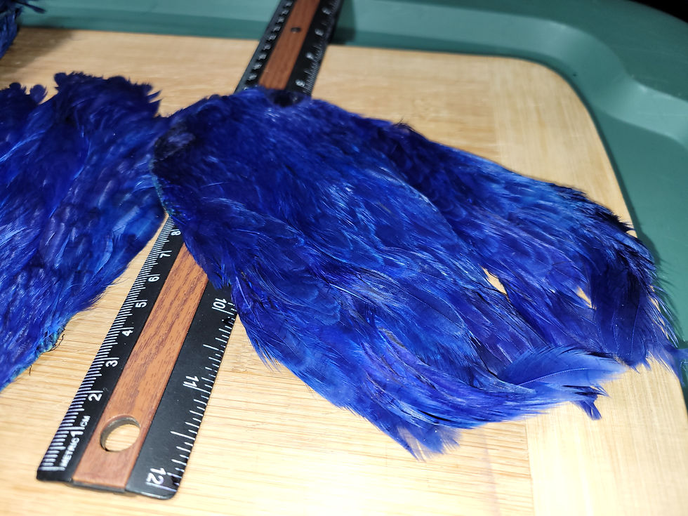 Miniature : Nos Cous de Poules de Teints Bleu Royal