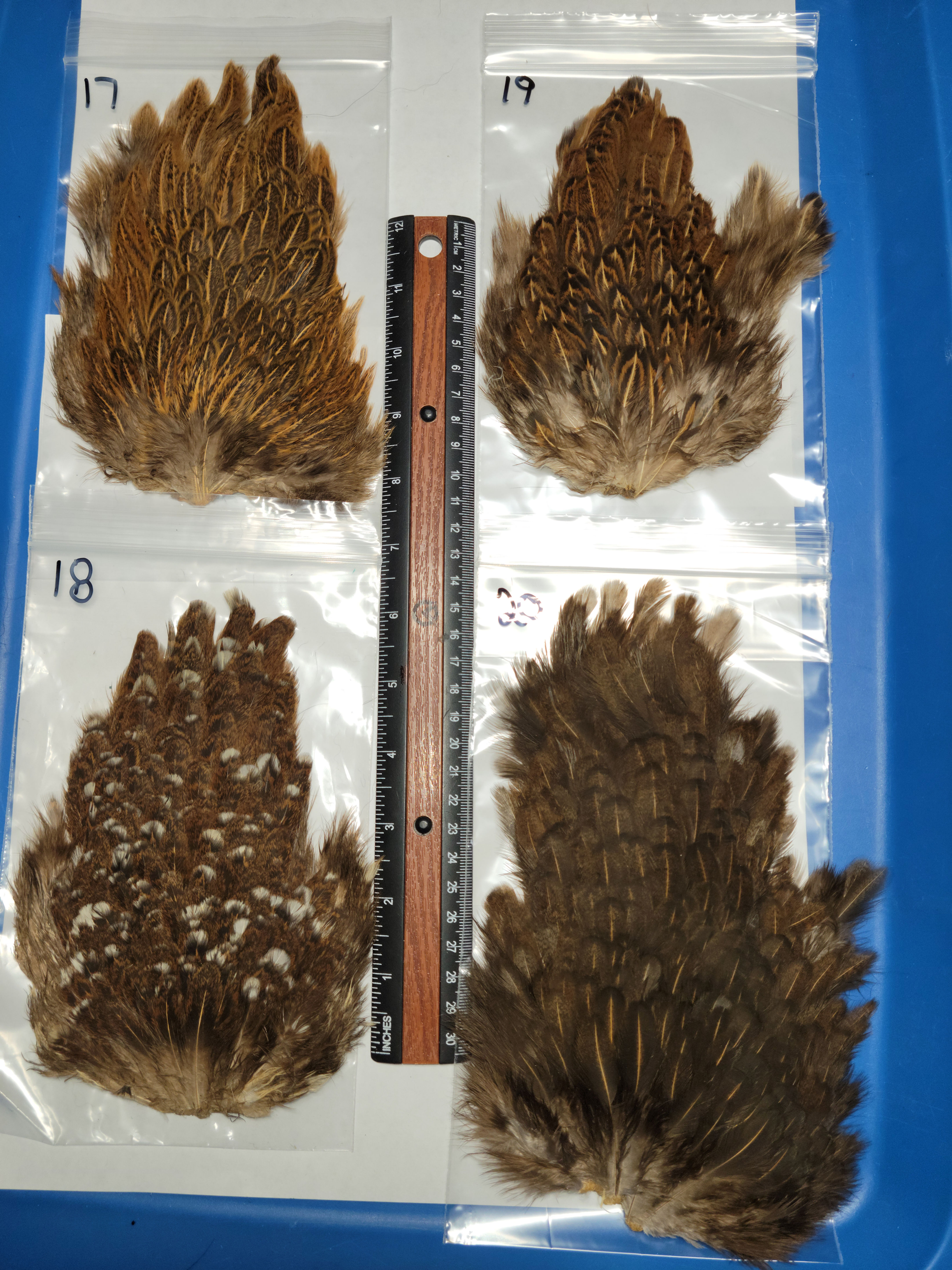 Our Natural Hen Saddles (Soft Hackle) Dark Brown to Charcoal Brown