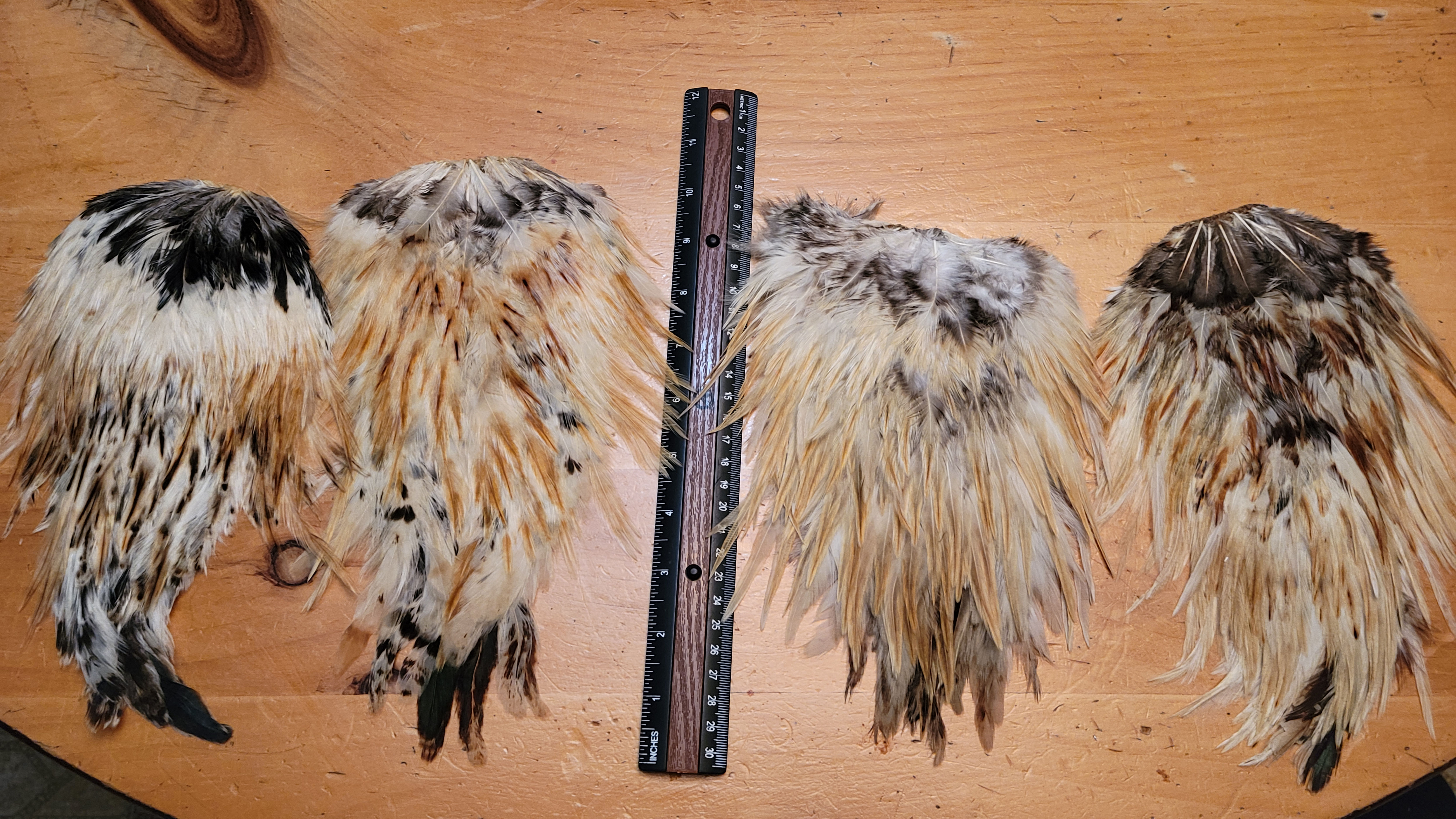 Selles de Coq Variant