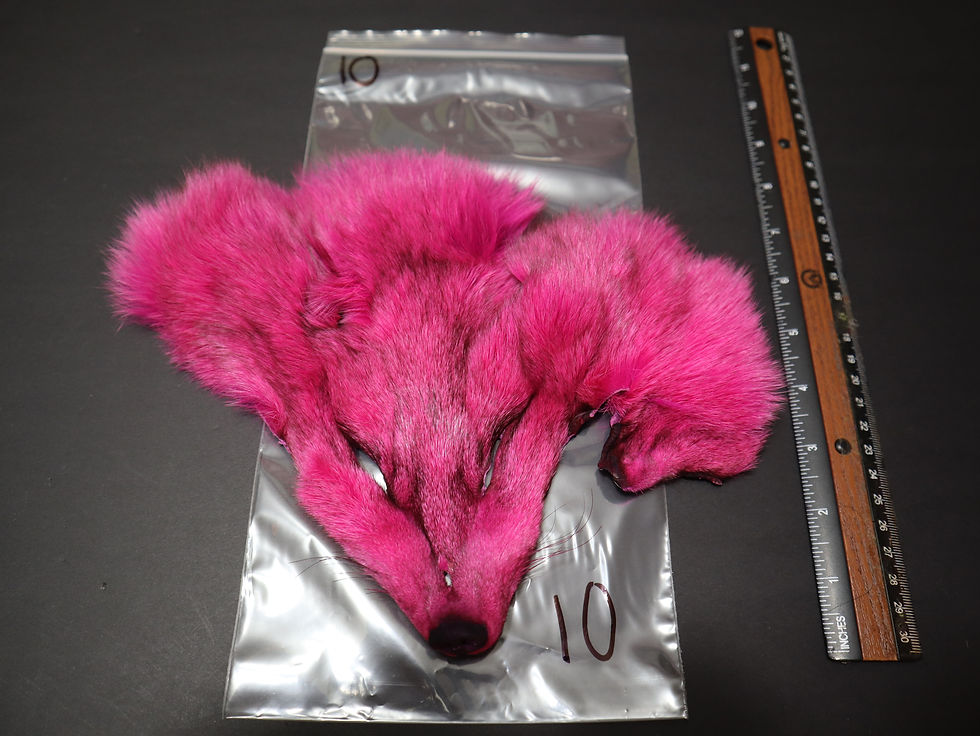 Thumbnail: Masque de Blue  Fox SELECT AAA Teint HOT PINK