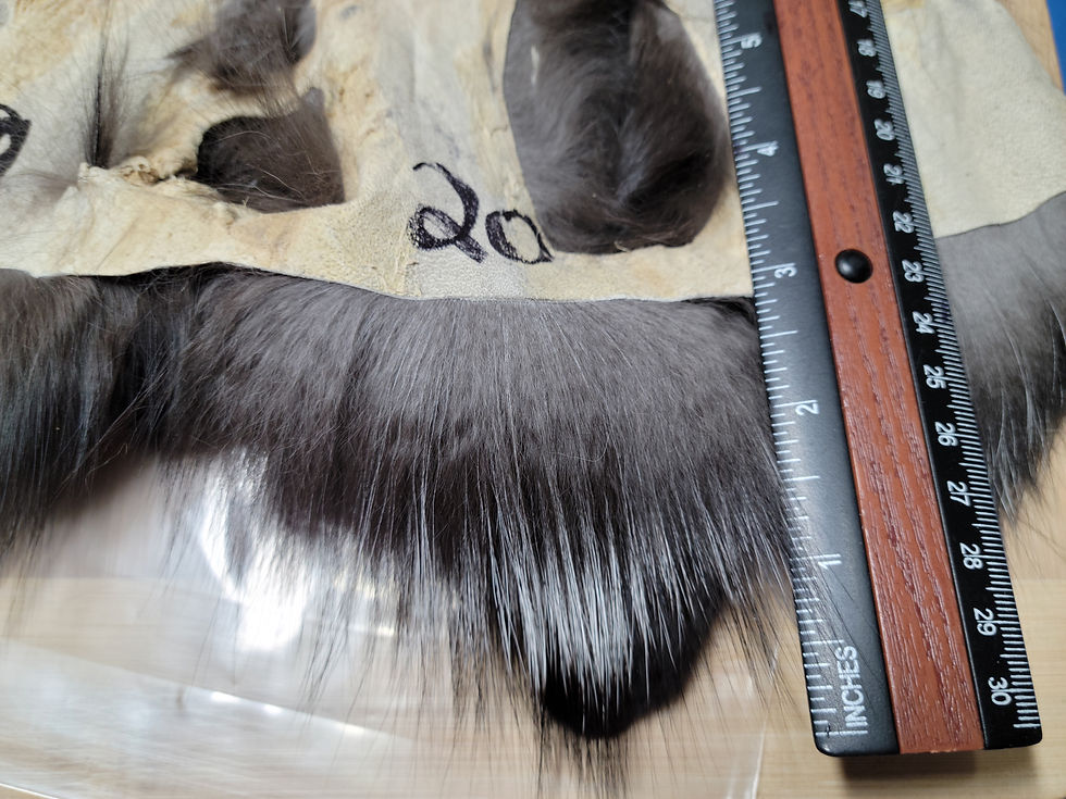 Miniature : Masque de Renard Argenté AAA 15-21