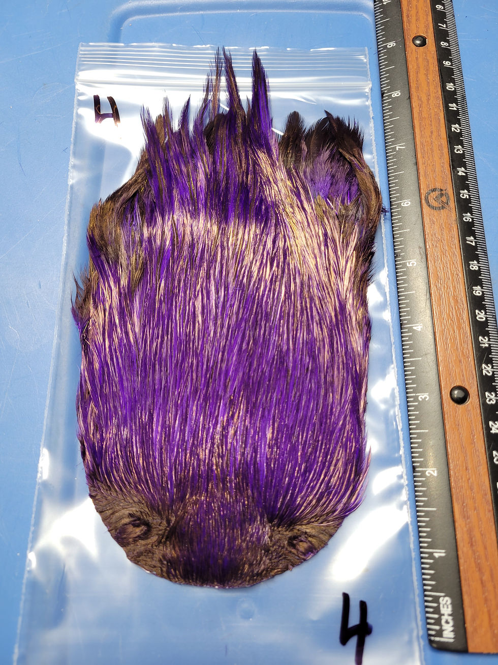 Miniature : Cou- Cape de Coq Super Select AAA Naturel Badger Teint Mauve1-15