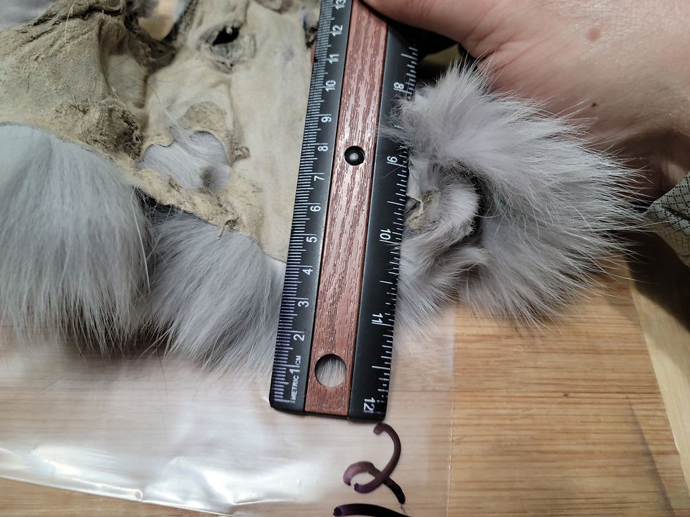 Thumbnail: Shadow Fox Mask AAA 1-3 Dyed Light Dun