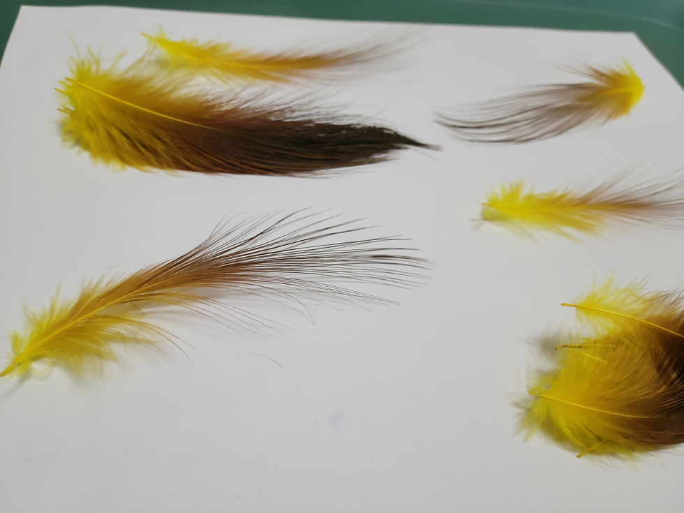 Miniature : Plumes AAA de Héron Brun Naturel Teint Jaune