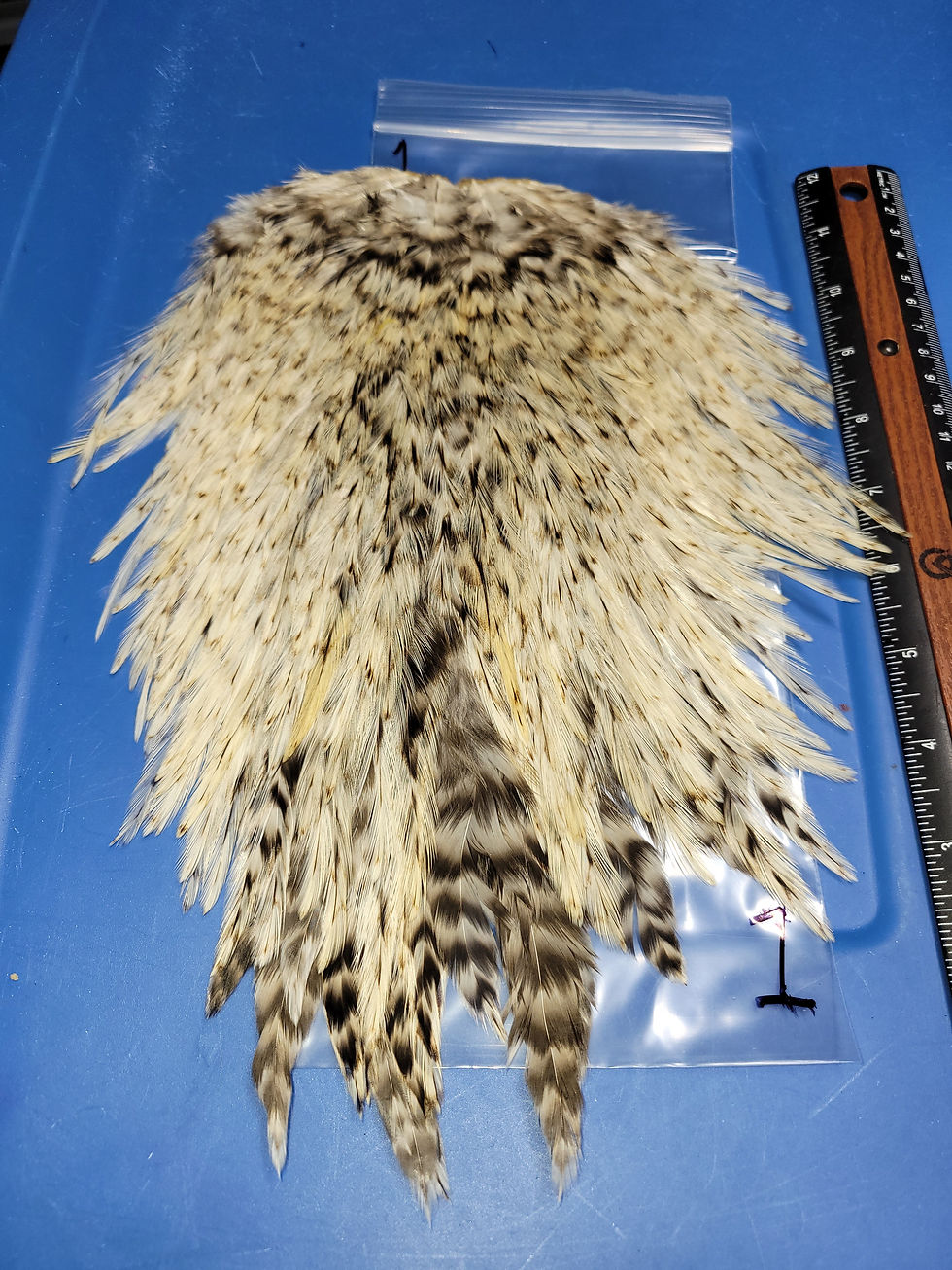 Our Super Select AAA Speckled Badger Rooster Saddles Variant 1-14