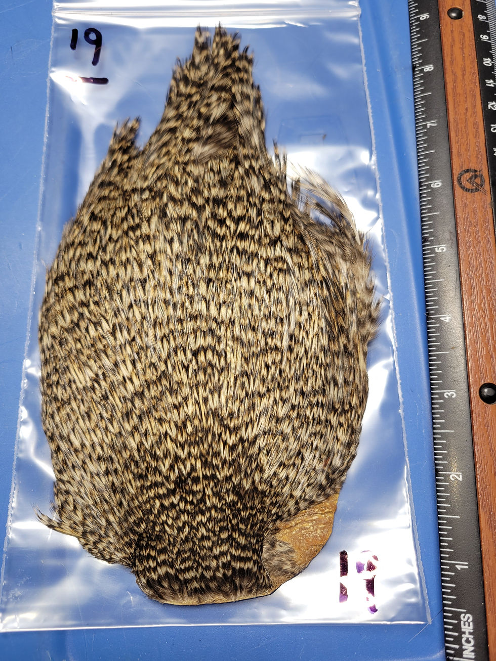 Thumbnail: Neck - Rooster Cape Super Select AAA Grizzly Natural 15-21